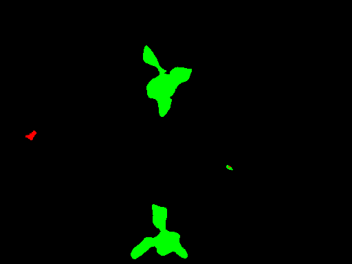 Segmented-Image